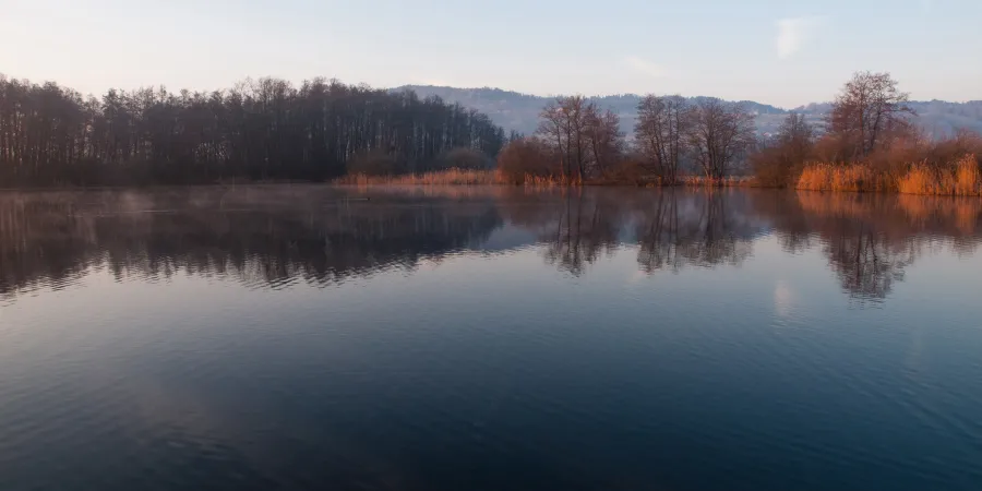 Hallwilersee Seengen Zopf